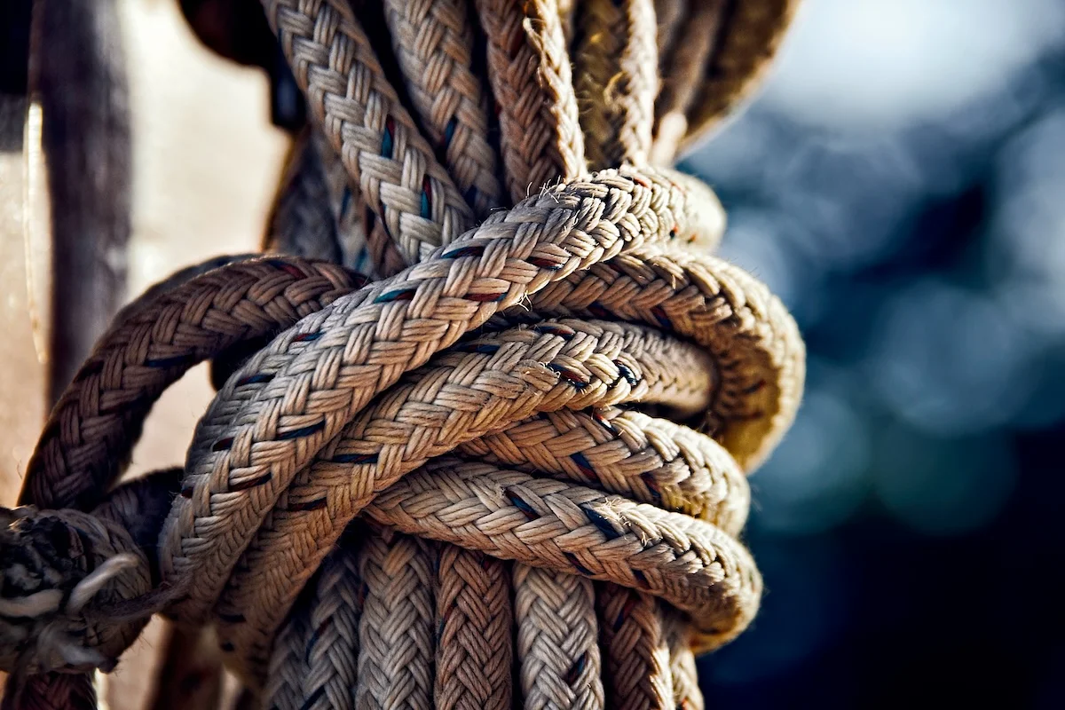 The Integrated Life: Moving Beyond the Curation of a 'Perfect' Identity