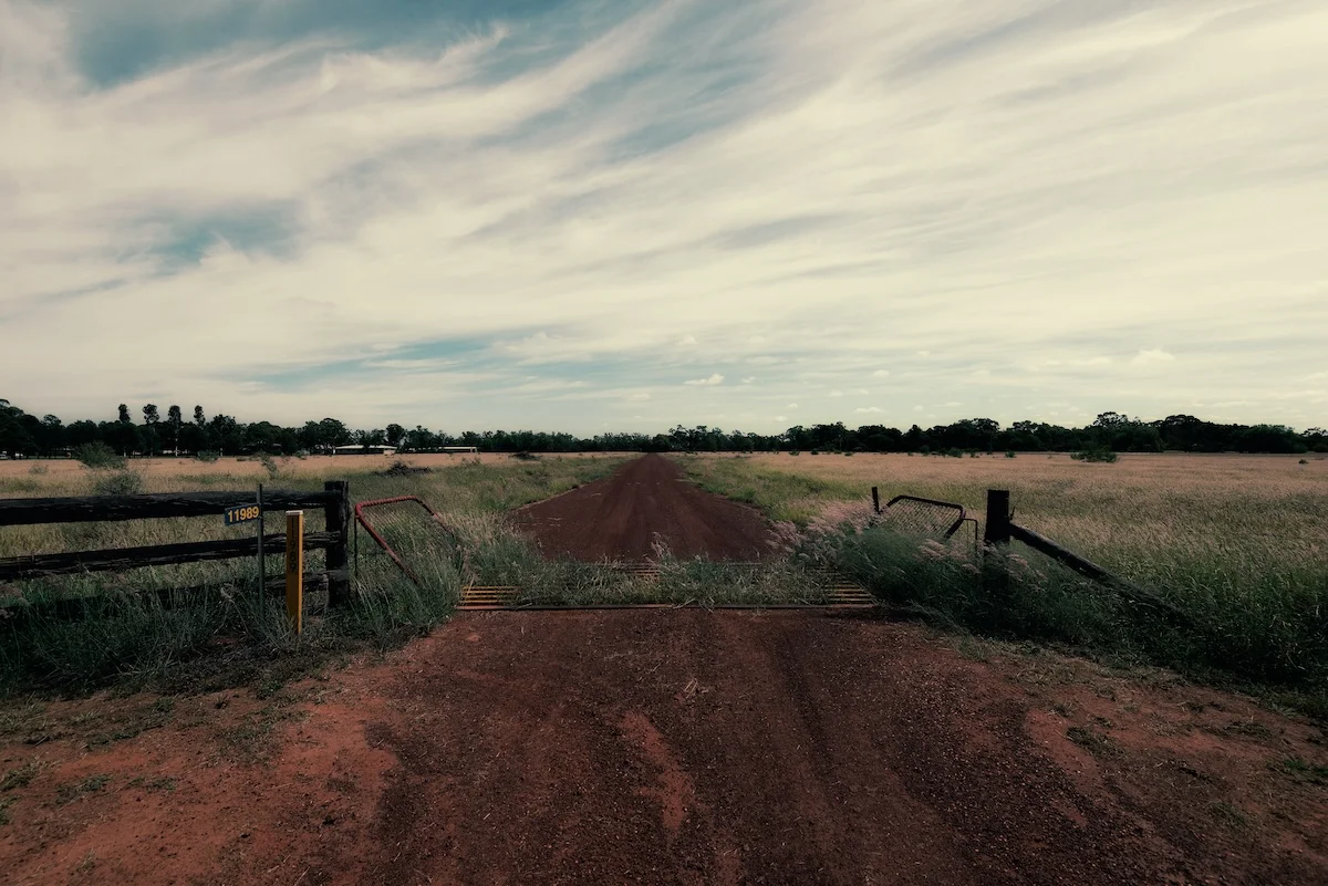 The Fallow Year: The Case for Strategic Professional Stillness Before Your Next Act